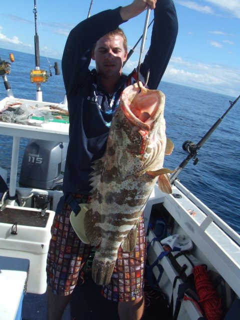 Warroora Estuary Cod